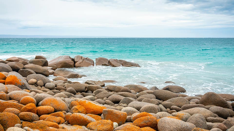 The Importance of Biodegradable Products: A Path to Zero Waste